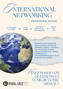 International Networking : Professional Edition